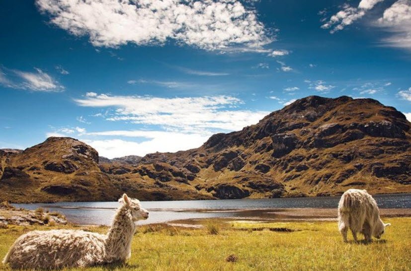 El Cajas National Park, Azuay Province, near Cuenca, Ecuador